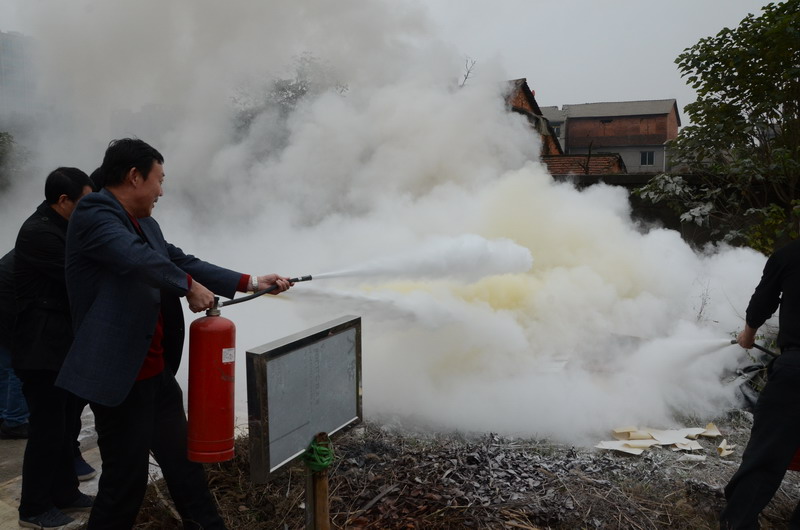 1DSC_0306.jpg
